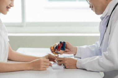 Bir kardiyolog, hastane masasındaki bir hastaya kalp hastalığı hakkında bir şeyler açıklamak için kalp modeli kullanır..