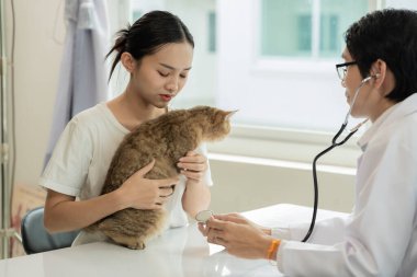 Veteriner kliniğinde randevu, profesyonel bir erkek kedi sahibiyle muayene masasında çalışıyor ve hayvan hastanesinde kedi yavrusunu muayene ediyor.