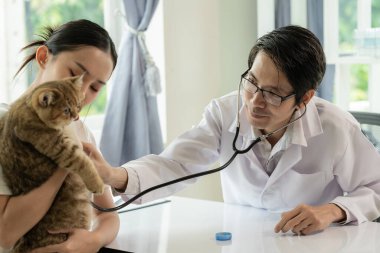 Veteriner kliniğinde randevu, profesyonel bir erkek kedi sahibiyle muayene masasında çalışıyor ve hayvan hastanesinde kedi yavrusunu muayene ediyor.