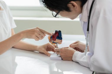 Bir kardiyolog, hastane masasındaki bir hastaya kalp hastalığı hakkında bir şeyler açıklamak için kalp modeli kullanır..