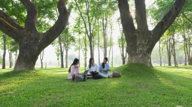 Bir grup Asyalı kız öğrenci akademik içeriği araştırmayı tartışıyor, tabletleri kullanıyor, parktaki bir ağacın altındaki not defterlerine not alıyorlar..
