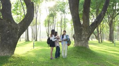 Bir grup Asyalı kız öğrenci akademik içeriği araştırmayı tartışıyor, tabletleri kullanıyor, parktaki bir ağacın altındaki not defterlerine not alıyorlar..