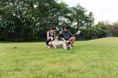 Asyalı çift sabah köpekleriyle parkta yürüyorlar. Dost canlısı hayvanlar, modern aileler için sağlıklı bir sabah aktivitesi..