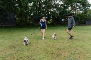 Asyalı çift sabah köpekleriyle parkta yürüyorlar. Dost canlısı hayvanlar, modern aileler için sağlıklı bir sabah aktivitesi..
