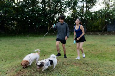 Asyalı çift sabah köpekleriyle parkta yürüyorlar. Dost canlısı hayvanlar, modern aileler için sağlıklı bir sabah aktivitesi..