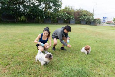 Genç çift parkta köpekle oynuyor. Parkta bir sonbahar gününde eğlenen ve oynayan köpeğe odaklan..