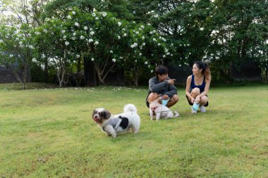 Genç çift parkta köpekle oynuyor. Parkta bir sonbahar gününde eğlenen ve oynayan köpeğe odaklan..