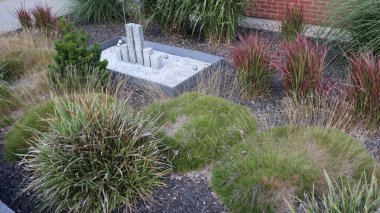 Arka planda bitki ve bitkilerin olduğu güzel bir park görüntüsü.