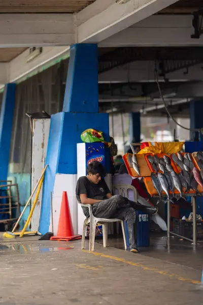 stock image Lima - Peru, May 21, 2023 - Lima's fishing port is a hive of activity with fishermen working tirelessly to bring in their catch. Birds circle overhead, waiting for scraps, while visitors wander the docks, taking in the lively atmosphere