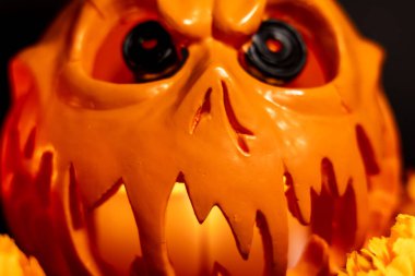 İçi mumlarla aydınlatılmış içi boş bir Cadılar Bayramı balkabağını dikkatlice seyreden yatay bir fotoğraf. Karanlık arka plan ürkütücü bir atmosfer ekler.