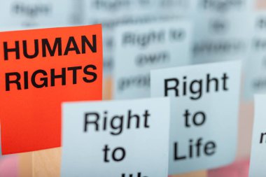 Beyaz arka planda mavi ve kırmızı işaretlerde insan hakları mesajlarını gösterir. İnsan haklarının önemini vurgulamak için ideal.