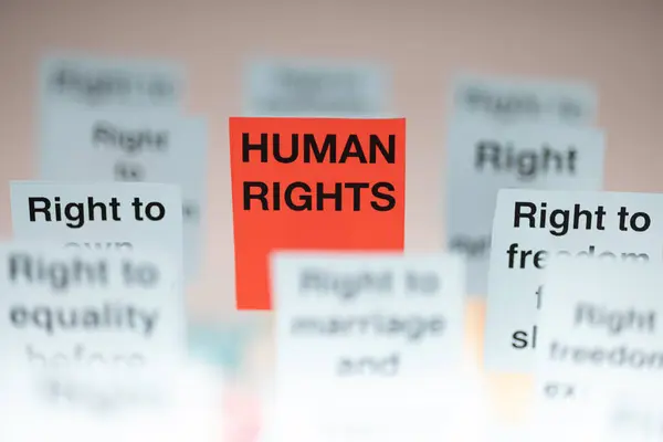 stock image Human rights posters in blue and red displayed horizontally with a white backdrop. Effective for illustrating human rights themes