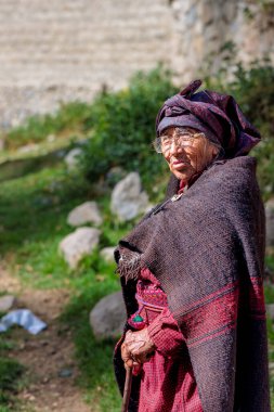Peru - Tupe, 23 Ekim 2022: Geleneksel giysiler giymiş yaşlı bir kadın, dağlarla çevrili Tupe tarlalarında geziniyor.