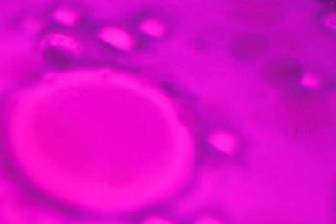 Yüzen yağ kabarcıkları ve su arasındaki etkileşim sürekli hareket eden ve sürekli değişen renkli, soyut sıvı sanatı yaratır..