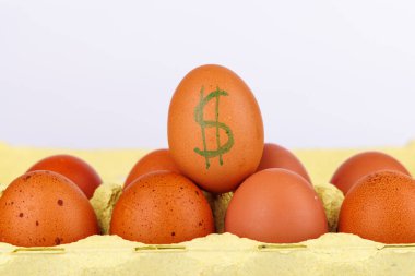 Egg Carton with Dollar Symbol on Brown Egg Highlighting Rising Egg Prices in the USA clipart