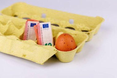 Ekonomik Enflasyon Konsepti Bir Karton ve Dolar Faturasında Bir Yumurta Yüksek Yumurta Fiyatlarını Temsil Ediyor