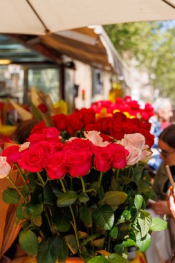 Barselona-İspanya, 23 Nisan 2025. La Rambla 'daki Sant Jordi: kitaplarla, güllerle ve buğdaylarla dolu canlı tezgahlar kalabalığı davet ediyor.