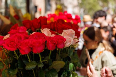 Barselona-İspanya, 23 Nisan 2025. La Rambla aşk, güller ve Sant Jordi kutlaması için kitaplarla dolu..