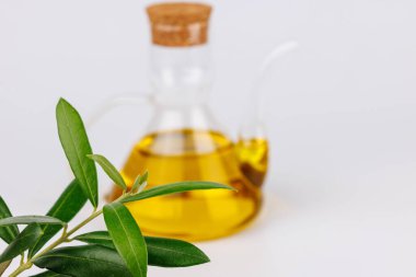 Zeytin yağıyla dolu saf cam şişe, beyaz bir dalın yanında, temiz bir şekilde izole edilmiş..