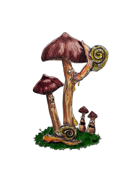 Transparent Watercolor Illustration Mushroom Grass — Stock Photo, Image