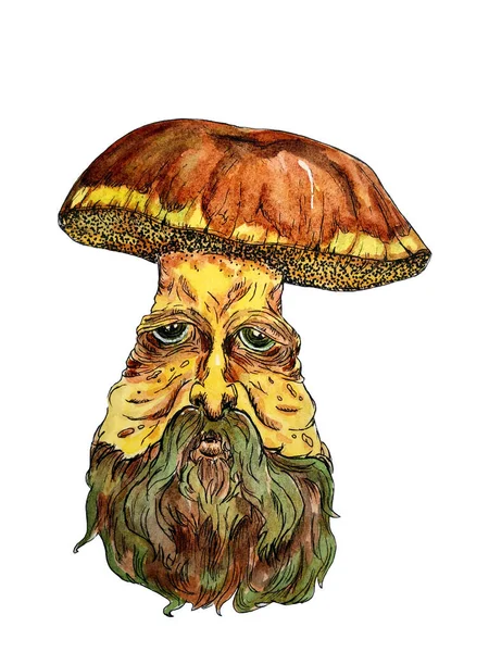 蘑菇透明水彩画 — 图库照片