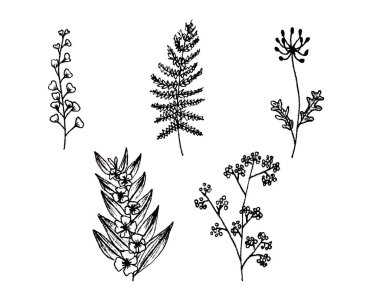 Siyah ve beyaz çiçekler.