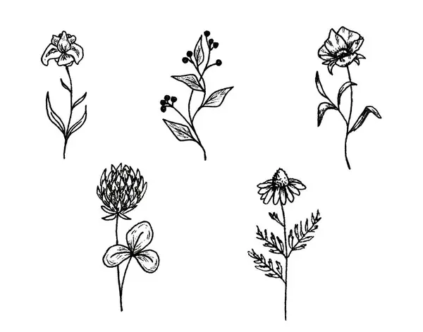 Set Van Zwart Witte Bloemen — Stockfoto