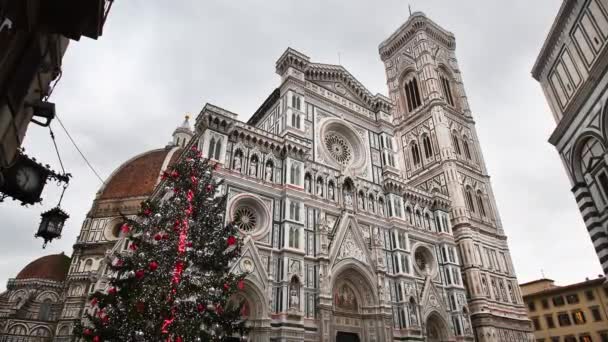 背景に大聖堂サンタ マリア フィオーレの美しいファサードを持つフィレンツェのクリスマスツリー イタリア — ストック動画