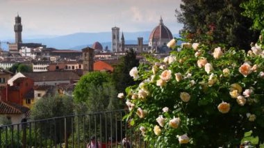Florence May 2022: The famous Cathedral of Santa Maria del Fiore in Florence with blooming yellow roses on foreground. Italy