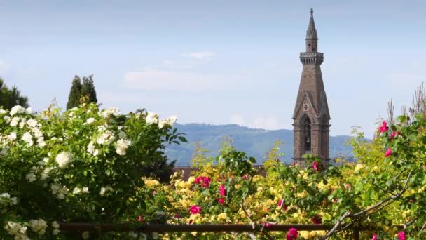 Колокольня Базилики Санта Кроче Флоренции Видна Розового Сада Возле Площади — стоковое видео