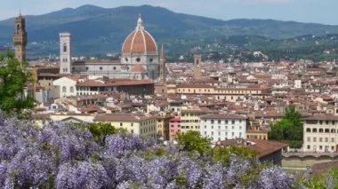 Floransa Katedrali, Santa Maria del Fiore Katedrali, Giotto 'nun Çan Kulesi ve Belediye Sarayı ve ön planda mor çiçek açan salkımlarla güzel bir manzara. İtalya.