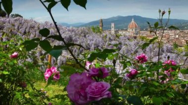 Santa Maria del Fiore Katedrali 'nin Michelangelo Meydanı yakınlarındaki Bardini Bahçesi' nden mor salkım salkımı ve çiçek açan güllerle güzel bir manzarası var. Floransa, İtalya.