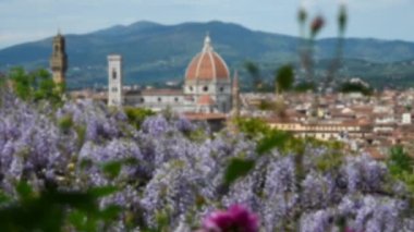 Santa Maria del Fiore Katedrali 'nin Michelangelo Meydanı yakınlarındaki Bardini Bahçesi' nden mor salkım salkımı ve çiçek açan güllerle güzel bir manzarası var. Floransa, İtalya. Odaklanmayı ayarla