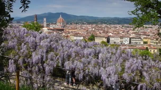 Stadtbild Von Florenz Mit Der Kathedrale Santa Maria Del Fiore — Stockvideo