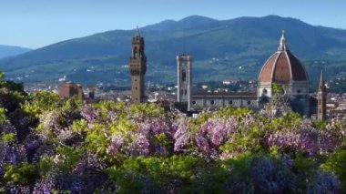 Meşhur Santa Maria del Fiore Katedrali, Giotto 'nun Çan Kulesi ve Floransa' daki Belediye Sarayı ön planda çiçek açan salkımlarla birlikte. İtalya