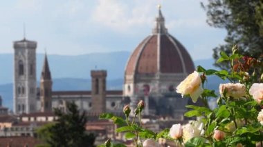 Sarı güller, arka planda Santa Maria del Fiore Katedrali ve Giotto 'nun çan kulesi ile çiçek açıyor. Floransa, İtalya 'daki Gül Bahçesinden Manzara