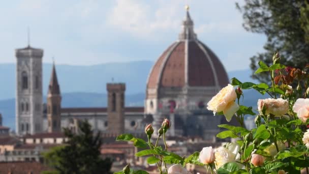 黄色的玫瑰绽放在圣玛利亚 菲奥雷主教座堂和佐托钟楼的后面 从意大利佛罗伦萨的玫瑰花园看风景 — 图库视频影像
