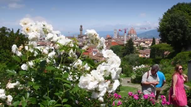 Florenz Mai 2023 Touristen Flanieren Und Bewundern Vom Rosengarten Der — Stockvideo