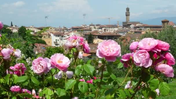 Rose Garden Perto Praça Michelangelo Florença Fundo Torre Câmara Municipal — Vídeo de Stock