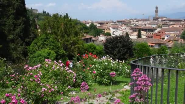 Florence May 2023 Tourists Stroll Admire Panorama Florence Rose Garden — Stock Video