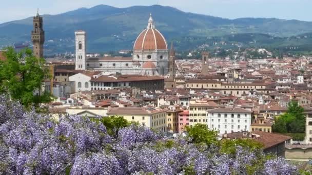 佛罗伦萨的城市景观美丽 圣玛丽亚 德尔菲奥雷主教座堂 佐托钟楼和市政厅宫殿 前景一片紫红 意大利 — 图库视频影像