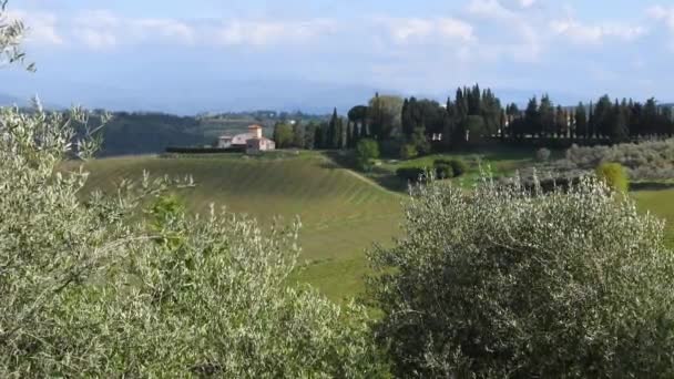 Greve Chianti April 2021 Olivträd Rör Sig Vinden Med Ett — Stockvideo