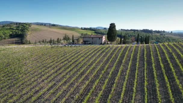 弗洛伦斯 2023年9月30日 在佛罗伦萨附近的几座山上 空中拍摄了一排排的意大利葡萄园和农舍 一排排的意大利葡萄园意大利托斯卡纳 — 图库视频影像