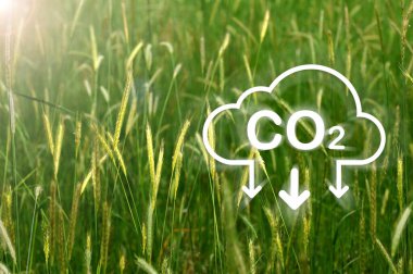 CO2 reduction icon on green wheat. CO2 reduction concept for environment, global warming, sustainable development and renewable energy green business.