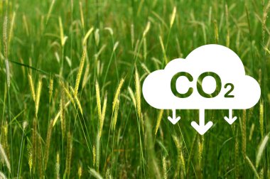 CO2 reduction icon on green wheat. CO2 reduction concept for environment, global warming, sustainable development and renewable energy green business.