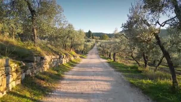 Lot Wśród Drzew Oliwnych Chianti Classico Zachodzie Słońca Włochy — Wideo stockowe