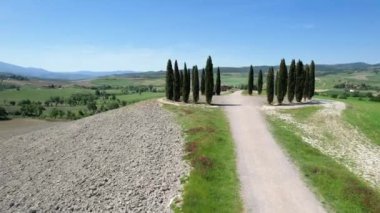 San Quirico d'Orcia, May 2022: Group Of Cypresses In Tuscany. Circular aerial view of cypress ring in Val D'Orcia. The location where they are located is known as the 