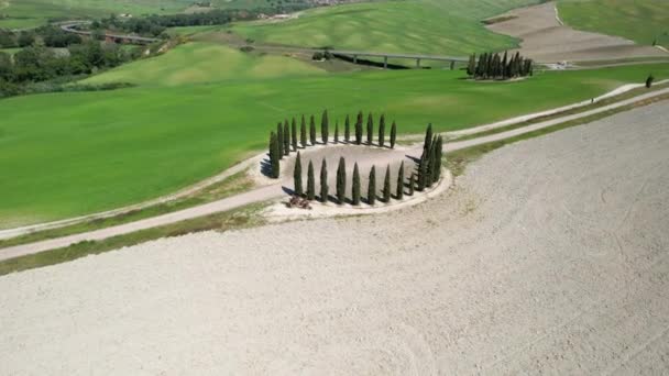 San Quirico Orcia May 2022 Group Cypresses Tuscany Circular Aerial — Vídeos de Stock