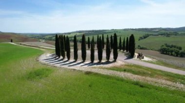 San Quirico d'Orcia, May 2022: Group Of Cypresses In Tuscany. Circular aerial view of cypress ring in Val D'Orcia. The location where they are located is known as the 