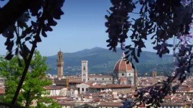 Santa Maria del Fiore 'un ünlü katedralinin, Giotto' nun çan kulesinin ve rüzgarda sallanan mor salkım çiçekleriyle Floransa Sarayı 'nın güzel manzarası. İtalya